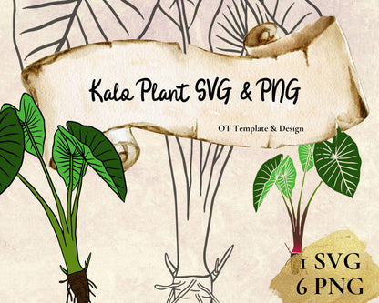 Taro Plant SVG PNG | Hawaiian Nature Clipart Bundle | Digital Download