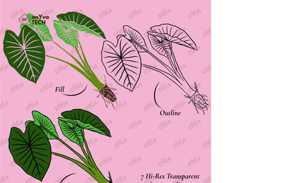 Taro Plant SVG PNG | Hawaiian Nature Clipart Bundle | Digital Download